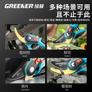 绿林（GREENER）园艺剪刀修枝剪树枝专用剪刀修枝剪果树修枝花剪树枝园林花卉绿林 旗舰款青钢刃