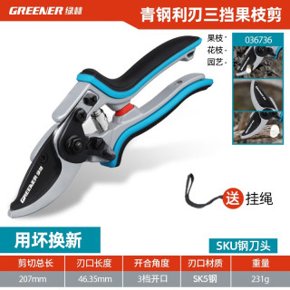 绿林（GREENER）园艺剪刀修枝剪树枝专用剪刀修枝剪果树修枝花剪树枝园林花卉绿林 旗舰款青钢刃