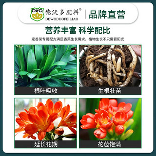 DEWODUOFEILIAO德沃多 肥料 君子兰专用植物营养液600ml养花肥料盆栽绿植花卉兰花通用复合肥