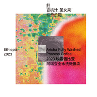 治光师 BEAM TIMER2023埃塞俄比亚耶加雪菲全水洗微批次冷萃手冲咖啡豆组合