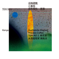 治光师 BEAM TIMER TOH NO.1肯尼亚水洗组冠军 微批次 浅烘焙 手冲咖啡豆100g