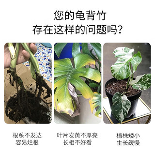 德沃多龟背竹专用型缓释肥500g叶面肥花肥盆栽绿植发财树通用复合肥