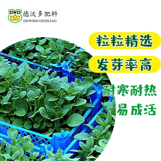 德沃多 DEWODUOFEILIAO 花卉种子套装蔬菜花卉种子四季种籽西瓜草莓太阳花种子种菜籽