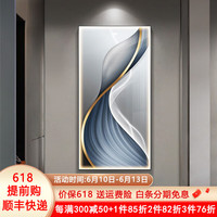 唤墙玄关装饰画带灯led灯画现代简约羽毛走廊过道挂画抽象艺术壁画 前程似锦 50*100cm(LED灯画/遥控插电款)