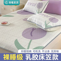 南极人(NanJiren)乳胶凉席三件套夏季床笠款儿童冰丝床席子学生宿舍可水洗空调席 两朵郁金香-床席款 150x200cm冰丝席+枕套一对