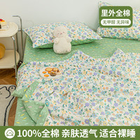安睡宝（SOMERELLE）ins小清新纯棉夏凉被空调被四件套新疆棉花单人夏季薄被芯可机洗 碎花细雨洗】 220*240cm夏被四件套