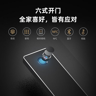 创米小白 IMILAB创米小白H2智慧门智能防盗入户门可视系统+智能锁+猫眼2050*960