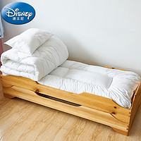 Disney 迪士尼 幼儿园被子儿童床上用品宝宝棉被空调被午睡被芯婴儿被褥