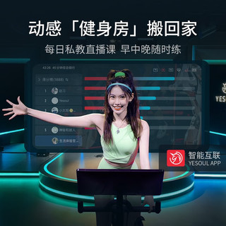 YESOUL 野小兽 动感单车家用智能调阻磁控运动健身器材室内静音Power智能调阻+双倍速燃课+插电款