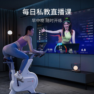 YESOUL 野小兽 动感单车家用智能调阻磁控运动健身器材室内静音Power智能调阻+双倍速燃课+插电款