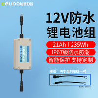 德力普（Delipow）12v锂电池 户外防水锂电瓶路灯音响太阳能灯监控后备电源235Wh