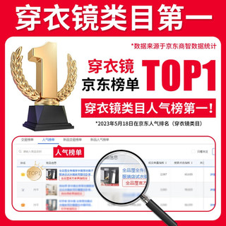 全品屋全身镜穿衣镜落地镜子服装店试衣镜家用壁挂卧室玄关简约北欧风 轻奢金155*45