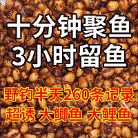 杰米仕（JMISI）玉米粒秋冬鱼饵料打窝料野钓通用鲫鱼鲤鱼草鱼窝料酒米谷麦鱼饲料 玉米粒500g-四加二