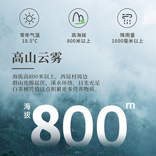 熙溪 福鼎白茶 2020年管阳镇特级头采白毫银针80g茶叶自饮送礼口粮茶