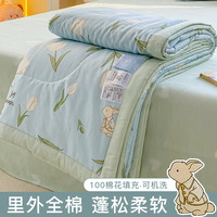 纯棉全棉夏凉被可机洗新疆棉花夏被空调被夏季薄被子被芯宿舍单人