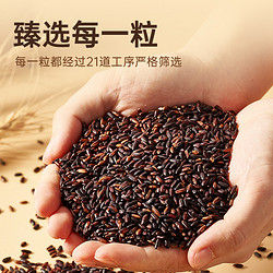 DIAN HE 甸禾 东北有机血糯米正宗新米饭团煮粥奶茶店专用配料500g