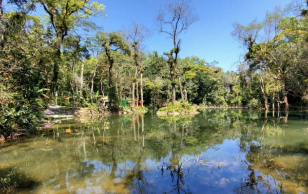 百花嶺景區內，熱帶雨林中的星級酒店！海南瓊中福朋喜來登酒店 園墅大床房 1晚（含雙早+親子活動）