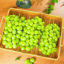 鲜其 云南阳光玫瑰青提葡萄 净重3斤串装单果8-12克