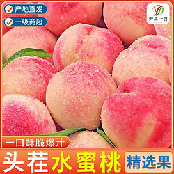 水蜜桃毛桃大桃子孕妇水果当季净重3.1斤8.7斤山西新鲜现摘脆甜