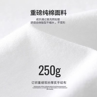 赛琪（SAIQI）重磅t恤男士夏季印花衣服半袖潮牌潮流情侣短袖纯棉打底衫上衣女 天蓝 L