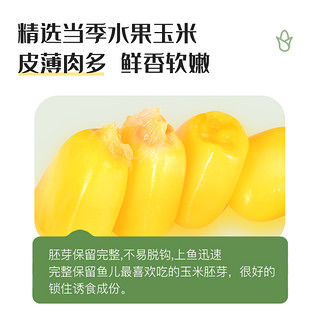 佳钓尼（JIADIAONI）嫩玉米挂饵挂钩玉米粒翘嘴窝料综合青鱼草鱼鲤鱼钓饵鱼饵饵料钓饵 甜香型 300g