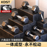 KDST哑铃男六角纯铁健身哑铃环保包胶哑铃女套装家用健身器材亚玲学生 2.5KG一只