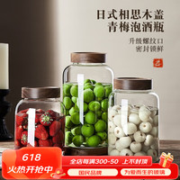 青苹果（QINGPINGGUO）泡酒玻璃罐专用酒瓶青梅杨梅自制果酒容器食品级密封罐泡酒罐酒坛 密封泡酒瓶大中小套装