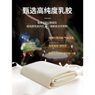 南极人（NanJiren）夏季冰丝乳胶凉席三件套1.8x2米夏天可水洗a类儿童单人空调软席子 花语 180x200cm乳胶凉席+枕套2只
