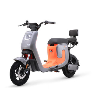 LUYUAN 绿源 电动车48V24A锂电池新国标电动自行车 液冷电机 K5 绿