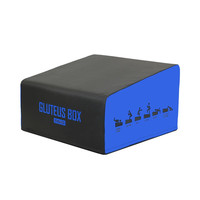 RISINGFIT锐思 专业版臀肌箱 私教工作室商用臀桥机 靠垫式臀桥箱 臀肌箱蓝色