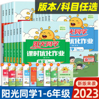 《2025阳光同学·课时优化作业》