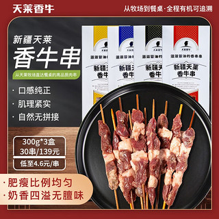 天莱香牛 正宗新疆牛肉串 生鲜烧烤BBQ 夜市户外新鲜烤肉食材冷冻 孜然牛肉串300g*3盒