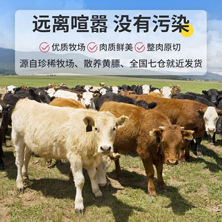 XI NIU YOU XUAN 西牛优选 I NIU YOU XUAN 西牛优选 黄牛牛排骨 5斤