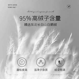 梦洁家纺 绒耀分区95%白鹅绒厚被冬季被子被芯加厚保暖 白色 150*200cm