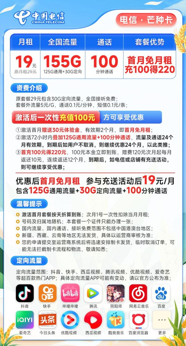 CHINA TELECOM 中国电信 芒种卡 19元月租(155G全国流量+100分钟通话)激活送20元京东E卡