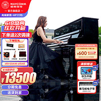 WAYCOMM 威腾钢琴 珠江德华钢琴HP119S立式钢琴进口配件高端家用专业教学考级88键