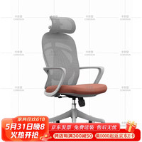 卡奈登人体工学椅子办公室职员座椅办公电脑椅升降靠背转椅ZT-22