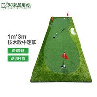 B.C.GOLF高尔夫推杆练习器 高尔夫练习室内高尔夫家用办公室高尔夫练习毯 1m*3m技术款中速草