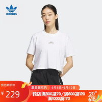 adidas 阿迪达斯 三叶草 女子SUMMER TEE SS 1运动 短袖上衣IK8642 A/XS码