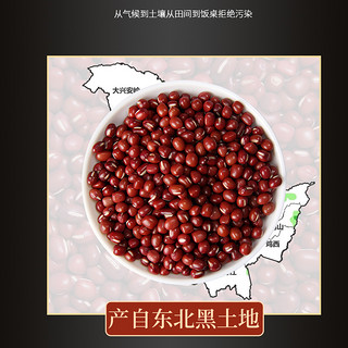 东北红豆5斤装农家自产赤豆红小豆五谷杂粮新货豆类赤小豆薏米 长粒赤小豆500gX1袋