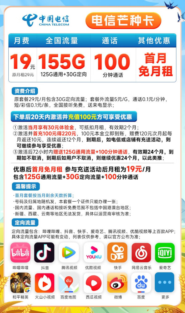 CHINA TELECOM 中国电信 芒种卡 19元月租（125G通用流量+30G定向流量+100分钟通话）