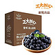 CP 正大食品 【正大】悦蜜云南高山蓝莓12盒*125g整箱礼盒脆甜新鲜水果