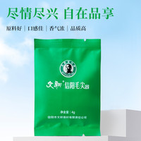 文新信阳毛尖品鉴茶4g袋装
