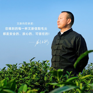 文新信阳毛尖品鉴茶4g袋装