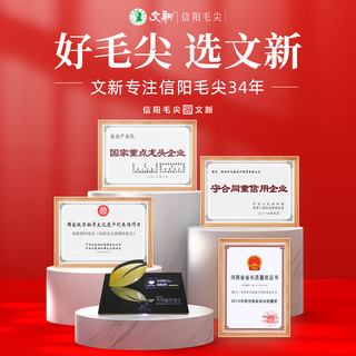 文新信阳毛尖品鉴茶4g袋装