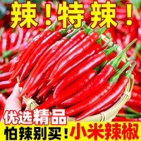 小米辣椒新鲜5斤批发小米椒朝天椒特辣超辣薄皮土红辣椒指天椒10