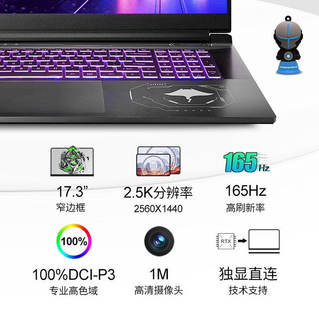 未来人类魔鬼鱼DR711 2023款17.3英寸游戏本(i7-13700H 16G DDR5 512G 