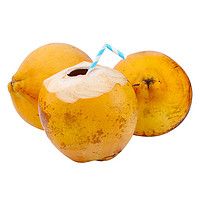 乡语小吖海南黄金椰子 2个装 金椰 送开口器+吸管 带皮椰青红椰 孕妇水果