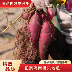 京百味海南澄迈桥头地瓜 2.5kg 地标产品 新鲜蔬菜 健康轻食 简装