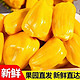 百果捞铺子 海南菠萝蜜  精选大果（单果20-25斤）